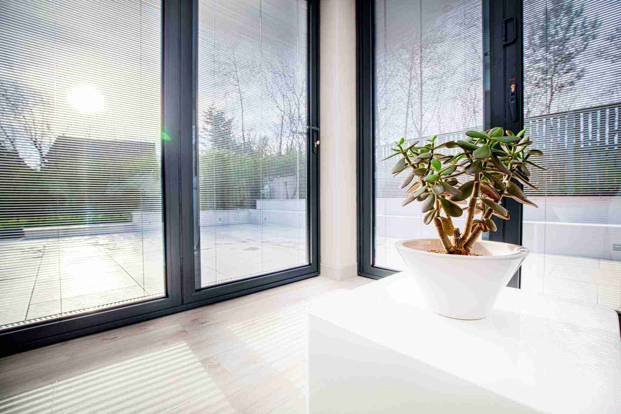 Bright open-plan kitchen, dining and living space within a contemporary Newton Mearns extension